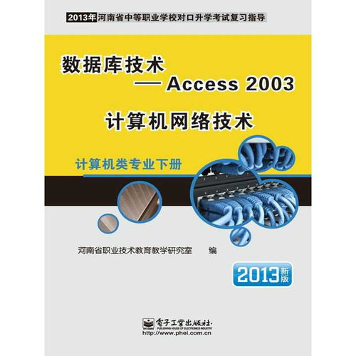 Access 2003與計算機網絡技術 計算機信息技術開發的核心書籍推薦